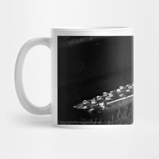 Stepping up Mug